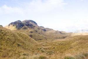 Paramo Scenery